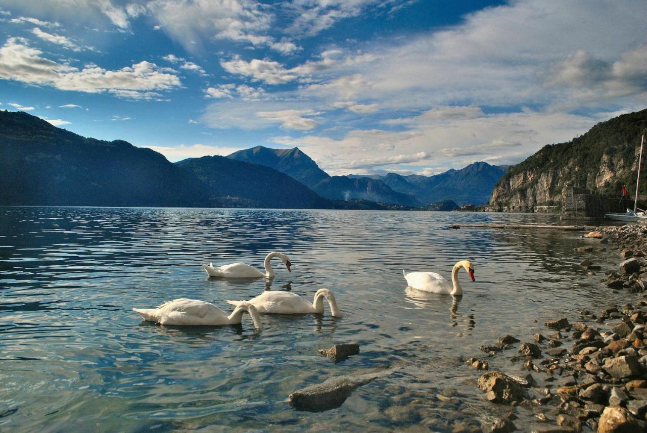 Lake View Apartments Acquaseria Luaran gambar